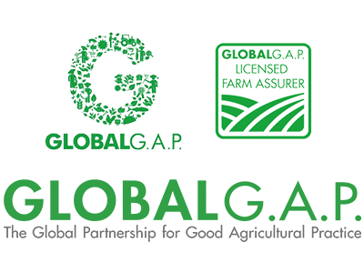 img_cavaltek_certificate_01